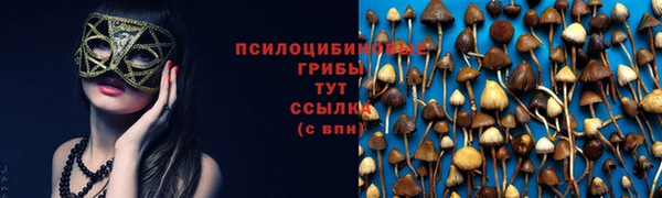 дживик Алексеевка
