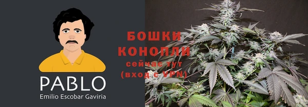 трава Алзамай